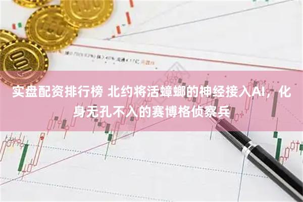 实盘配资排行榜 北约将活蟑螂的神经接入AI，化身无孔不入的赛博格侦察兵